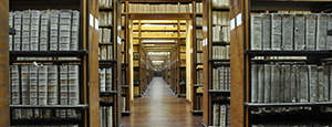 ибп для музеев, библиотек, архивов
